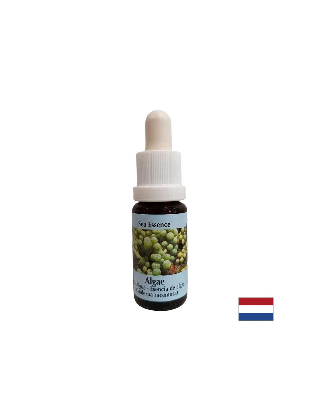 Stimola l'autoguarigione - Essenza di alghe n. 1, gocce 15 ml