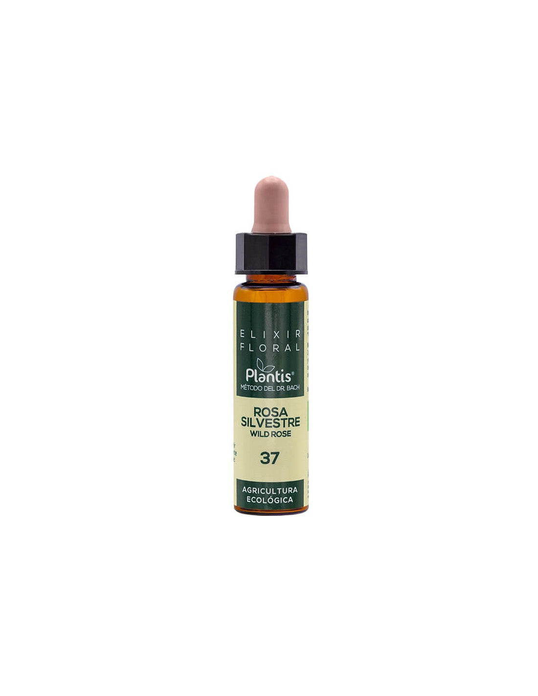 Rosa canina - Elisir floreale contro l'apatia - Gocce secondo il metodo del Dr. Bach, 10 ml