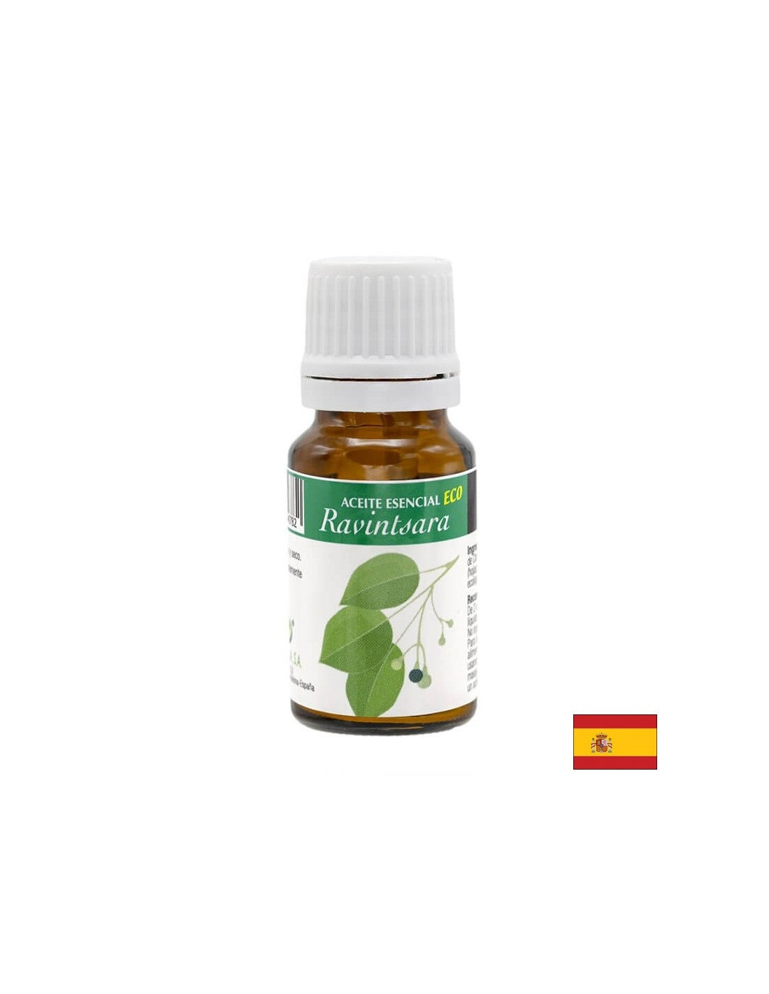 Olio essenziale di albero di canfora, 10 ml