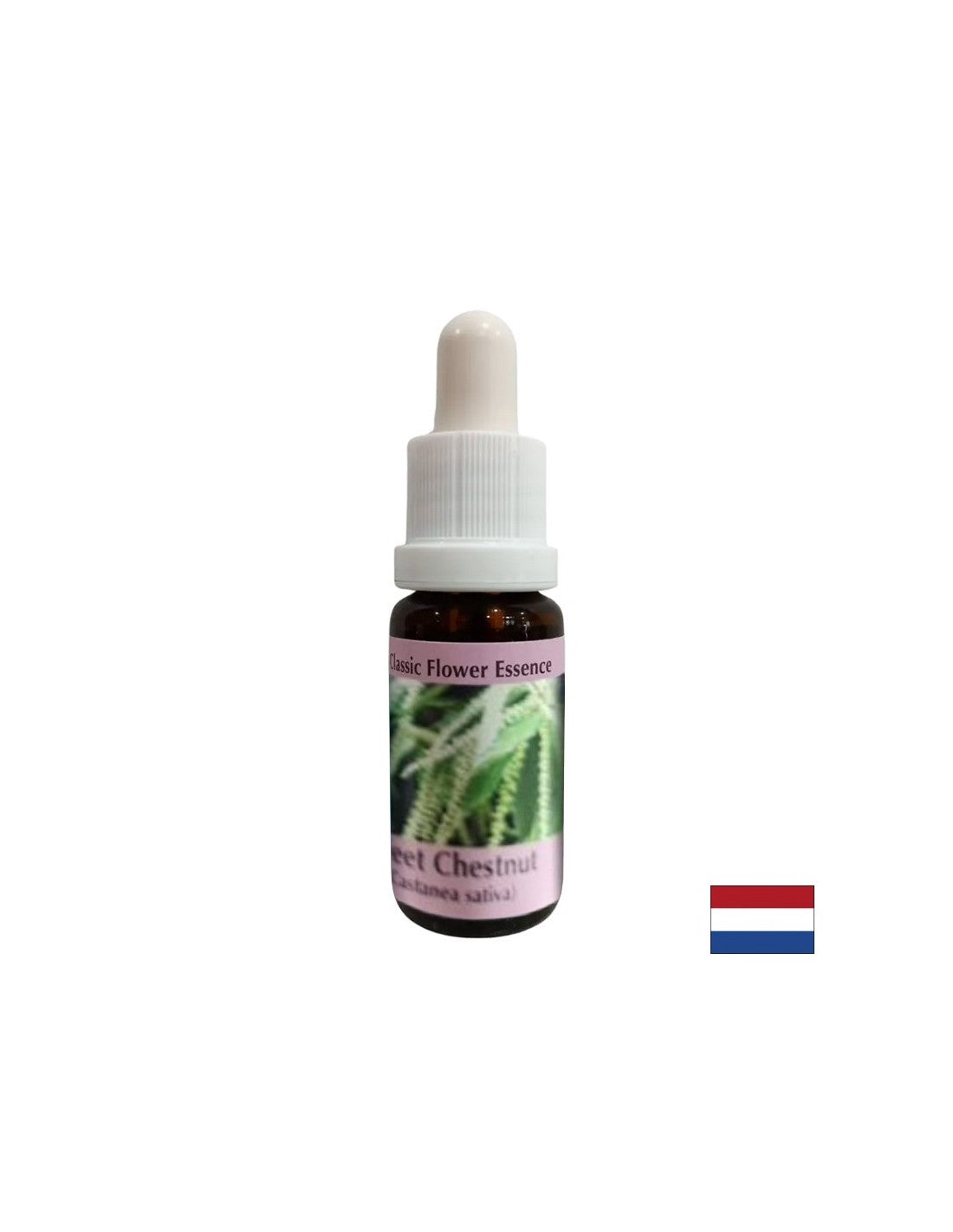In tempi di disperazione e impasse - Sweet Chestnut Essence, gocce 15 ml
