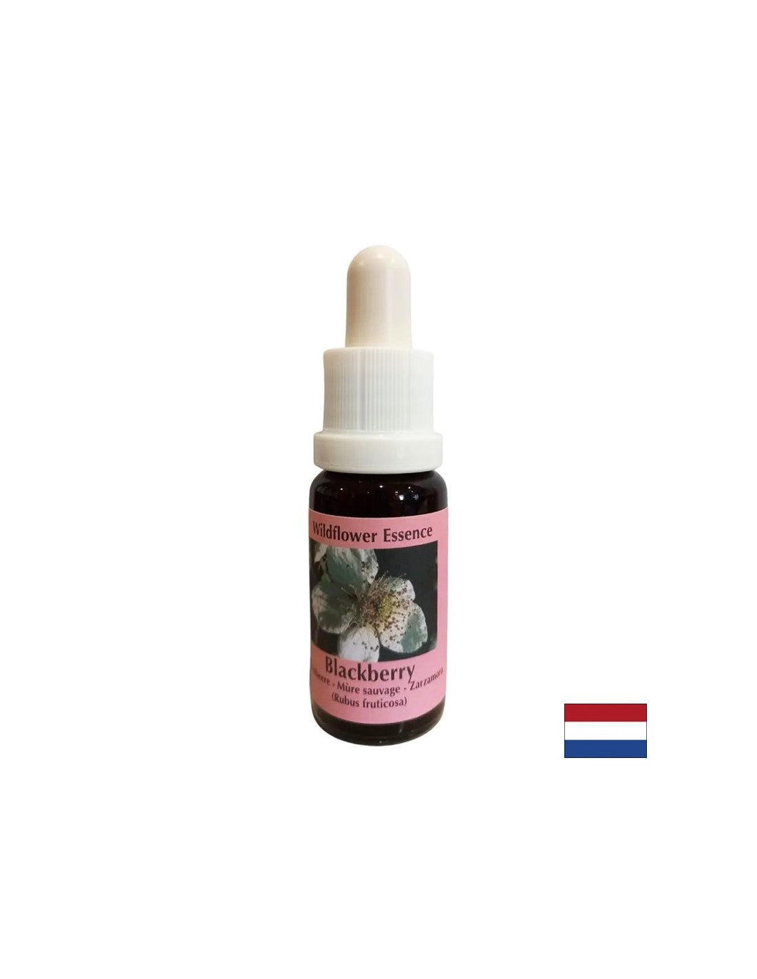 Stimola la vitalità e attiva la creatività - Essenza di Mora N. 22, gocce 15 ml