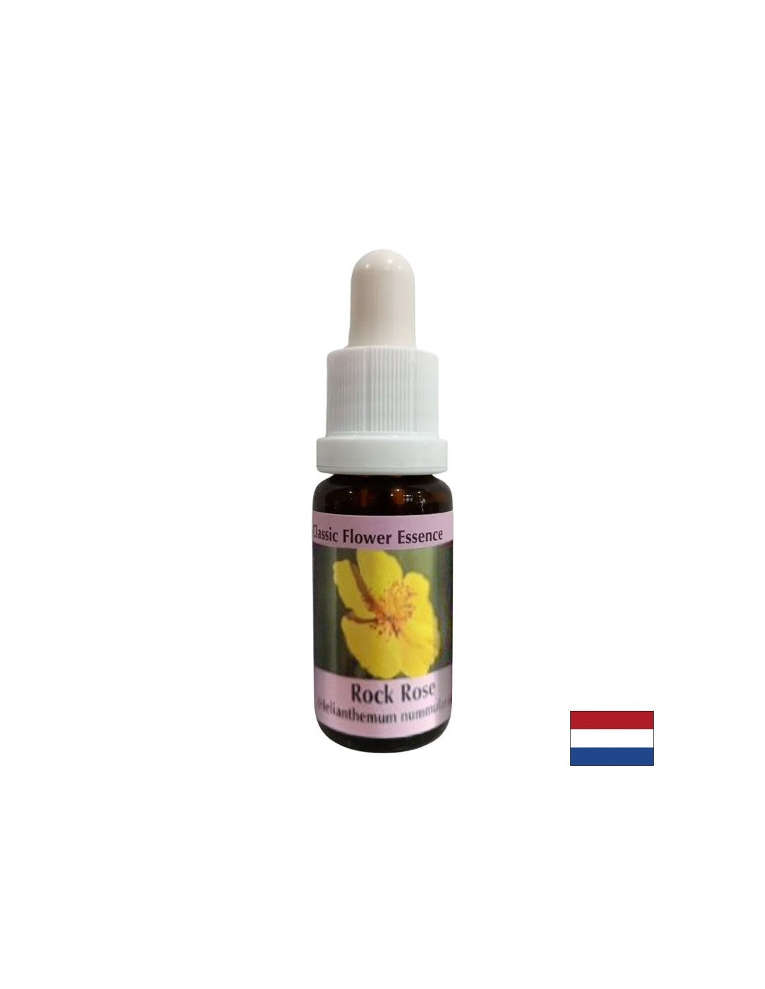 Chiarisce la mente in caso di paura e panico - Helianthemum Essence (Giallo) Nr. 26, gocce 15 ml