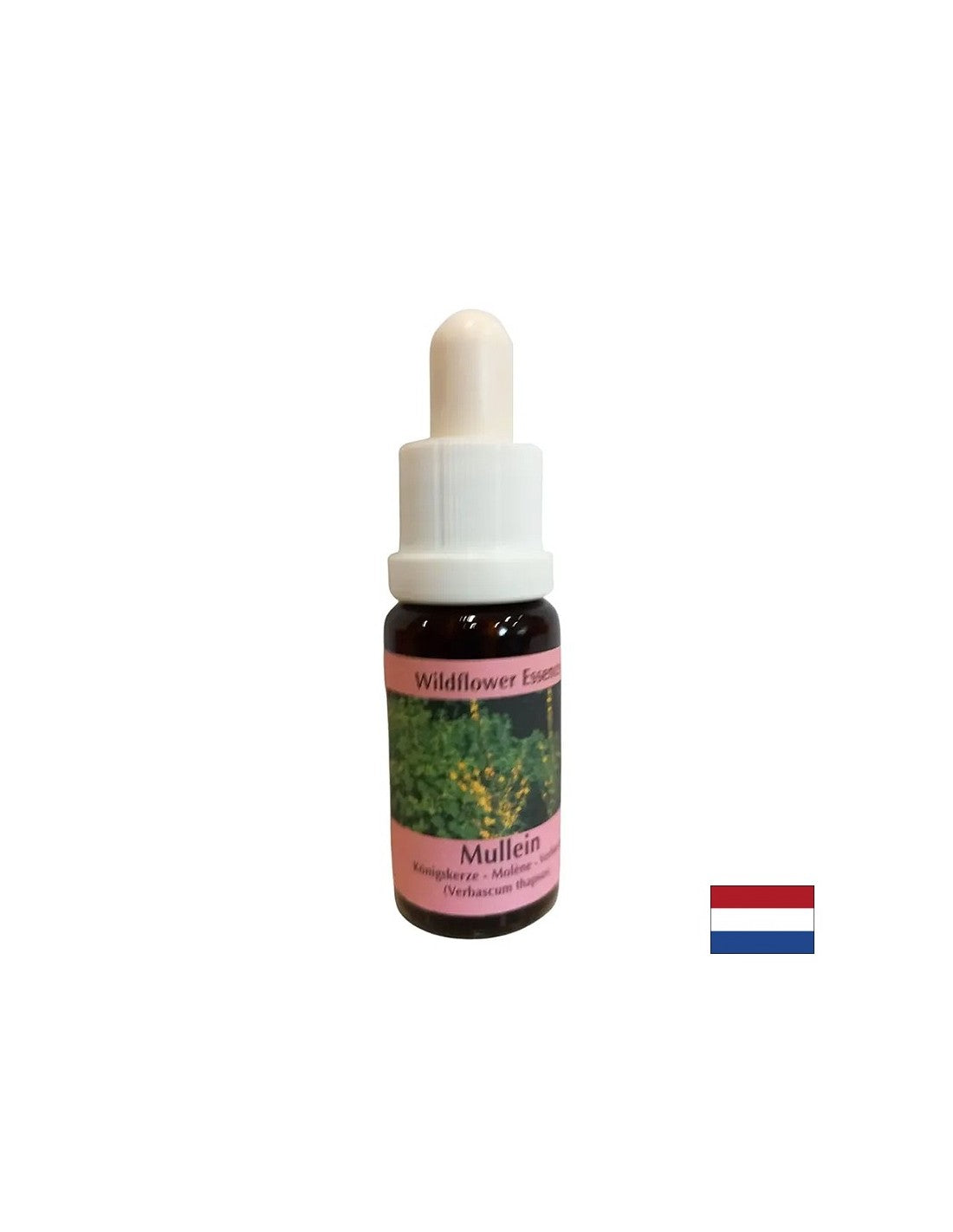 Supporta il lavoro di squadra e la creatività - Lopen Essence N. 29, gocce 15 ml