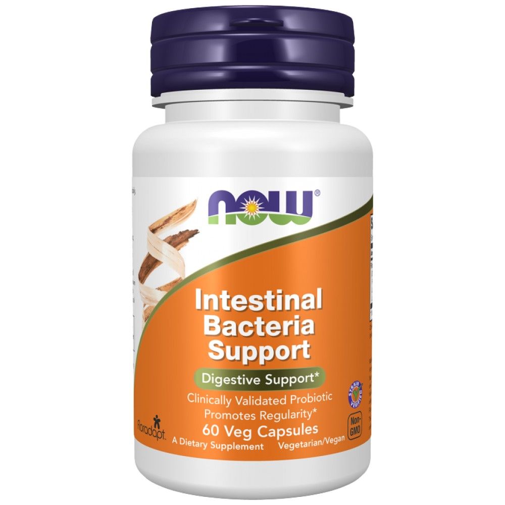 Supporto batteri intestinali | con 3 miliardi di cellule attive - 60 capsule