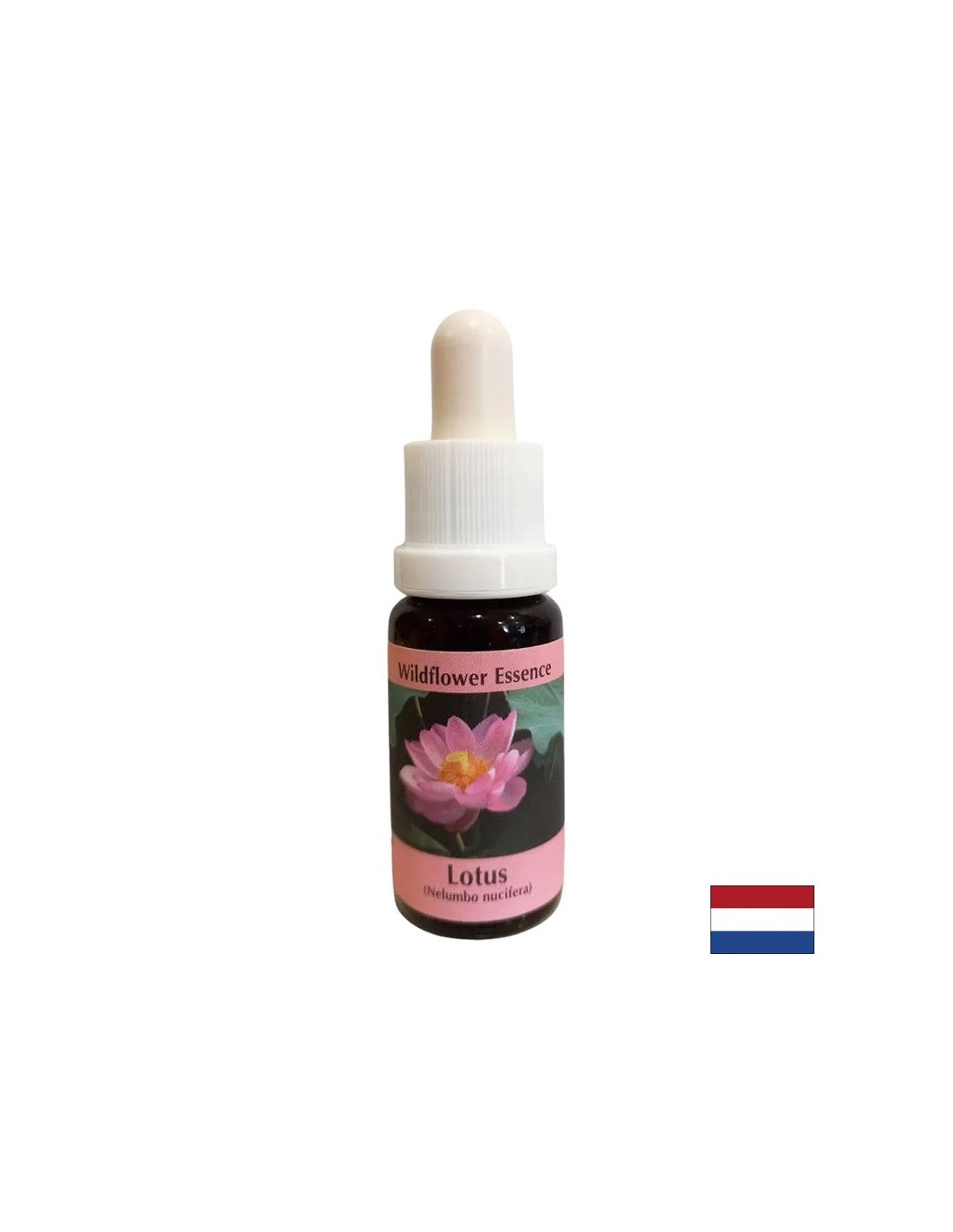 Armonizza i chakra e apre la mente - Essenza Indian Lotus n°30, gocce 15 ml