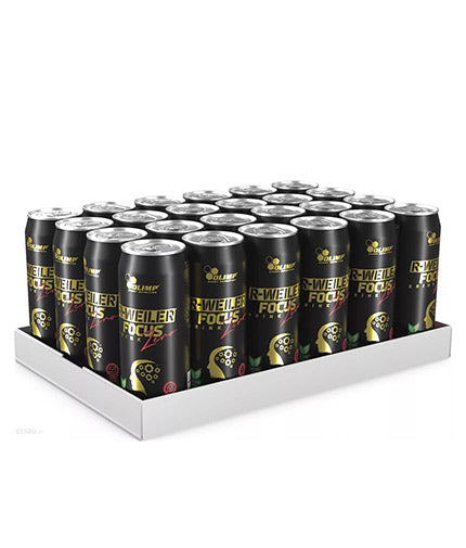 R-weiiler focus drink zero/24 x 330 ml