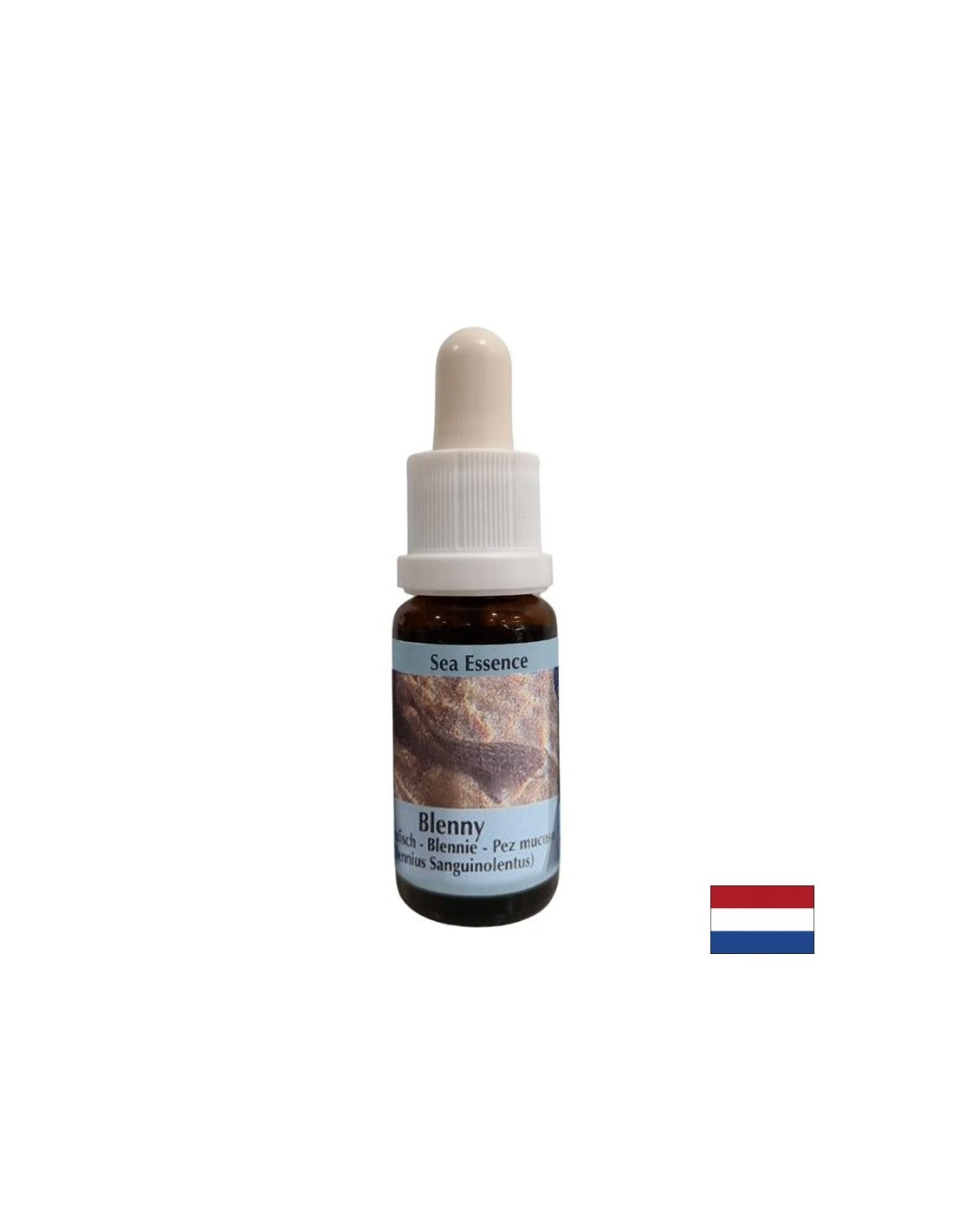 Supporta l'intuizione e la condivisione delle emozioni - Essenza Sea Dog N. 5, gocce 15 ml