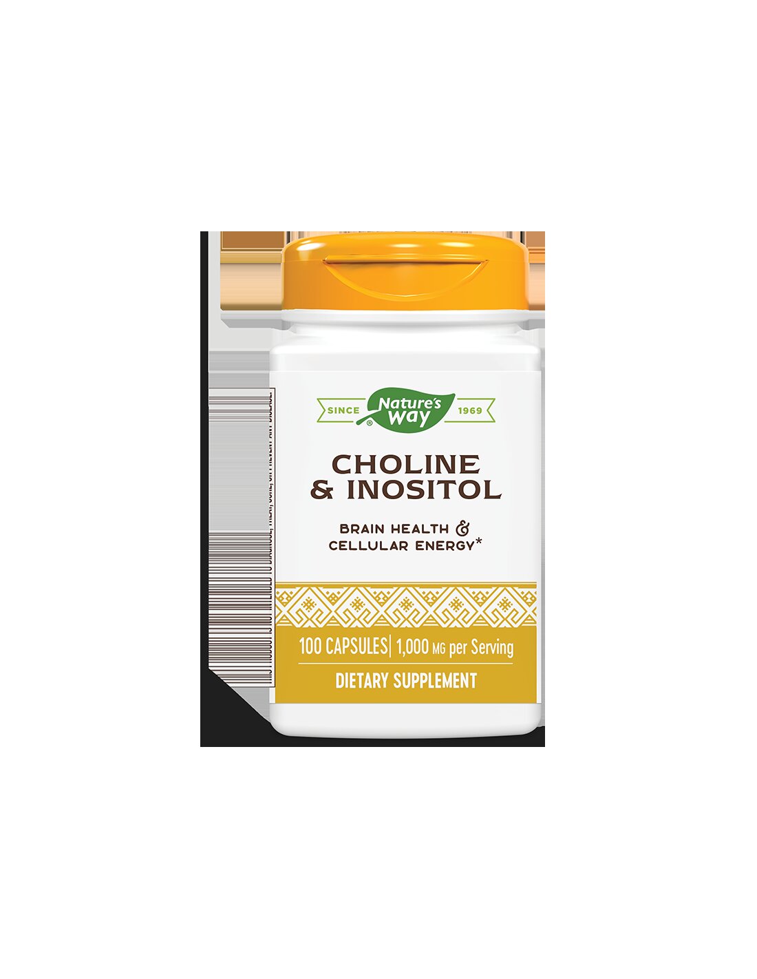 Choline 250 mg & Inositol 250 mg - 100 капсули - Feel You