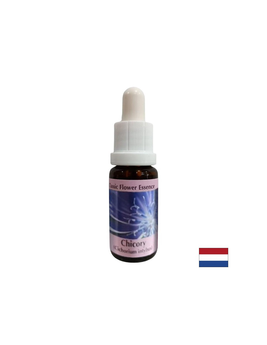 Per concentrarti su te stesso - Essenza di Cicoria n. 8, gocce 15 ml