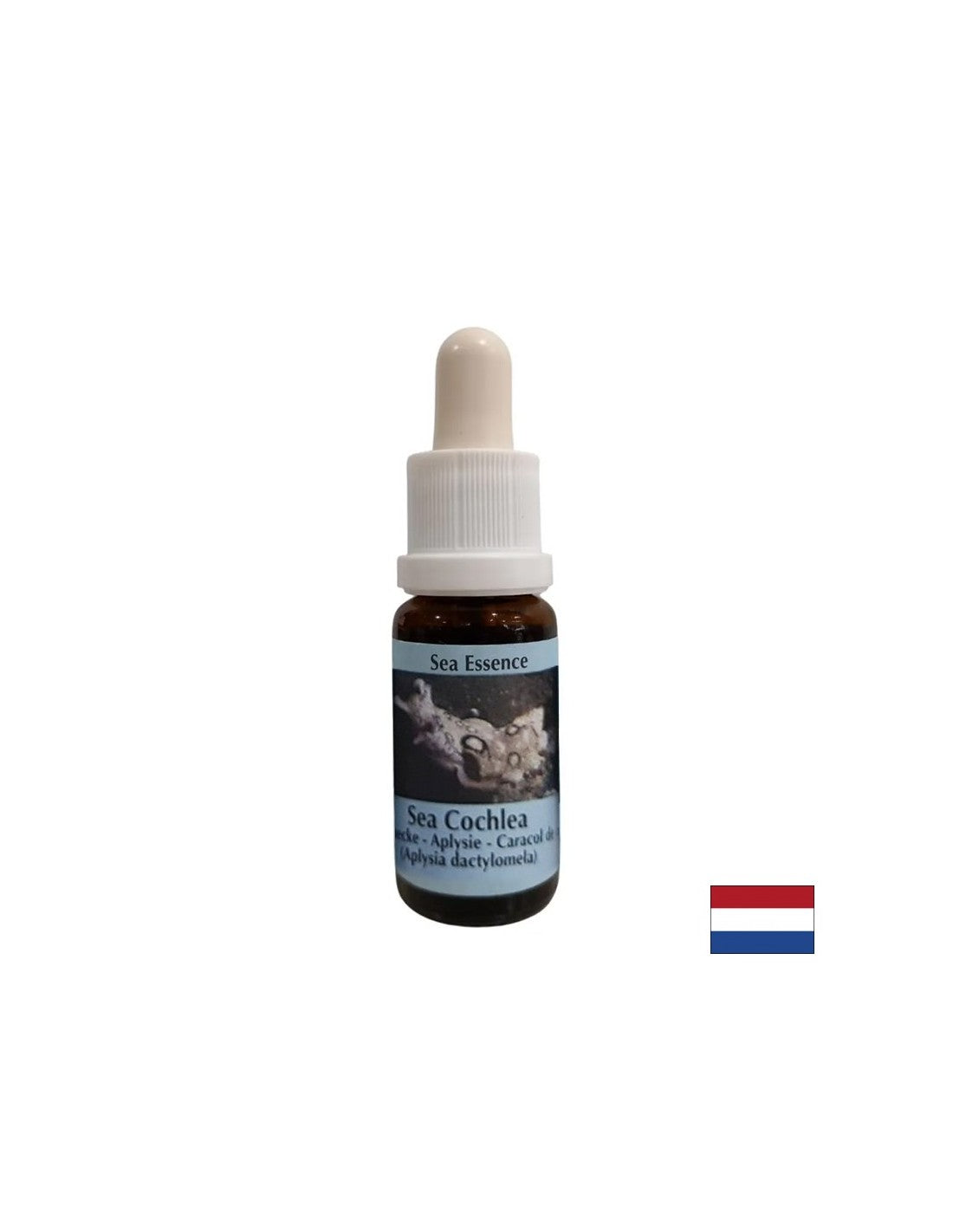 Dona forza interiore in situazioni instabili - Sea Snail Essence No. 8, gocce 15 ml