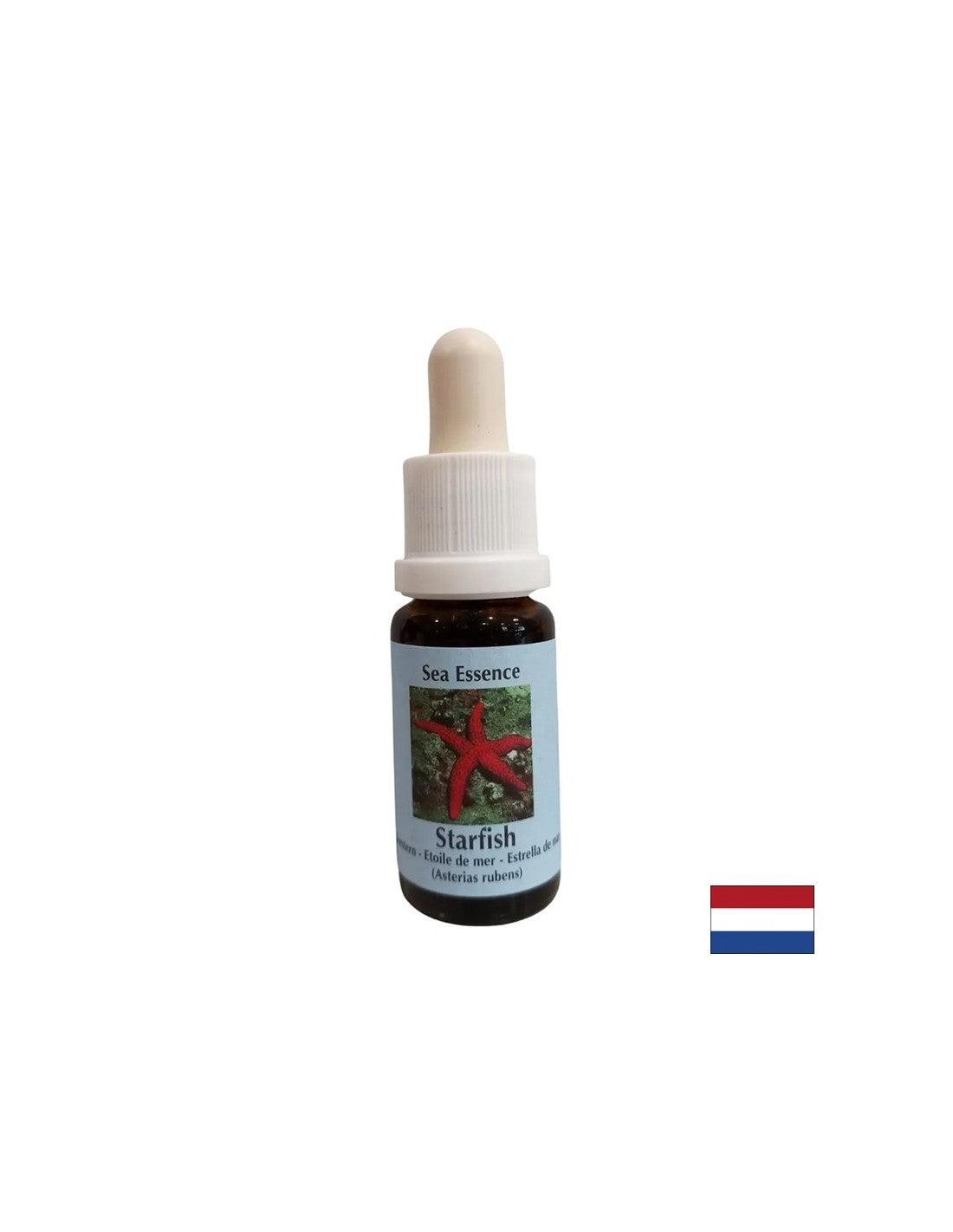 Migliora la comunicazione - Starfish Essence No. 9, gocce 15 ml