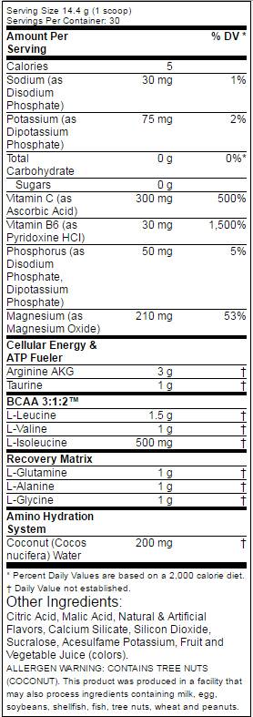 Amino 1 Idrata + Recupera 432 grammi