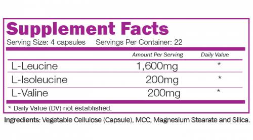 BCAA 8:1:1 - 90 capsule