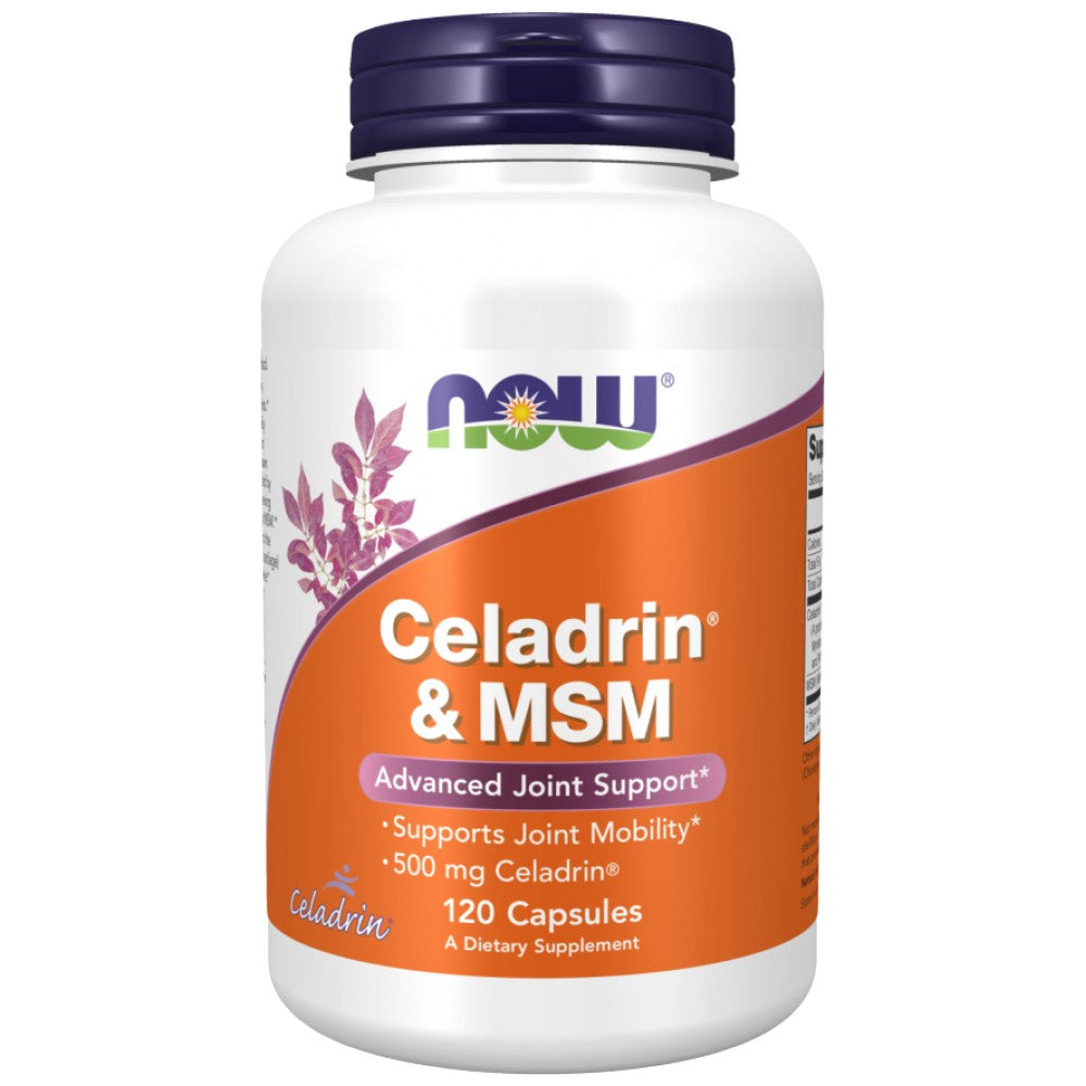 Celadrina & MSM 500 mg - 120 capsule