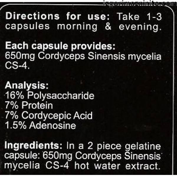 Cordyceps CS-4 90 capsule
