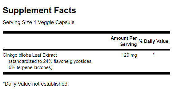 Ginkgo standardizzato a rilascio ritardato 120 mg - 100 capsule