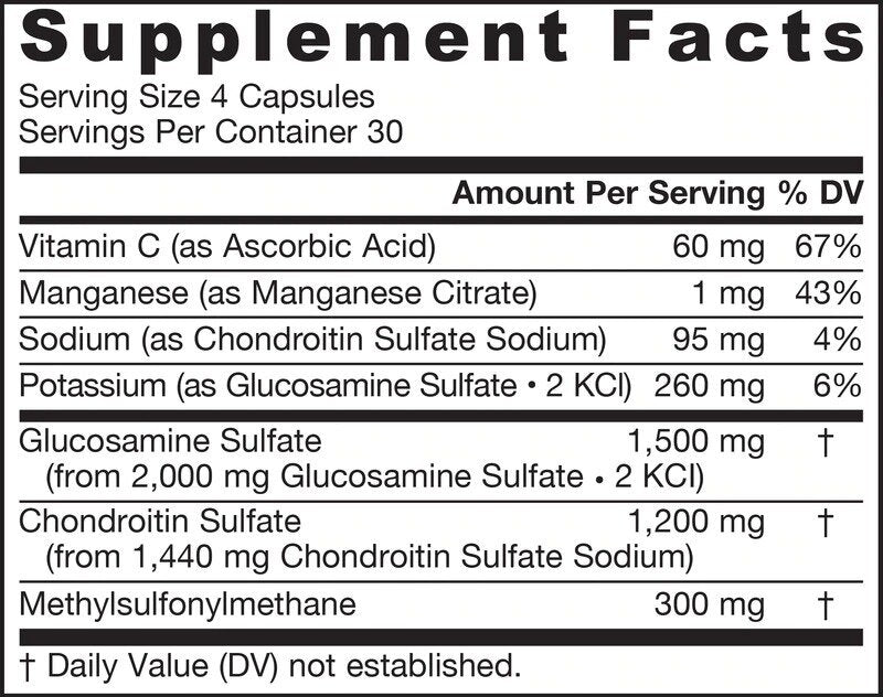 Glucosamina Condroitina MSM - Glucosamina Condroitina MSM 120 capsule