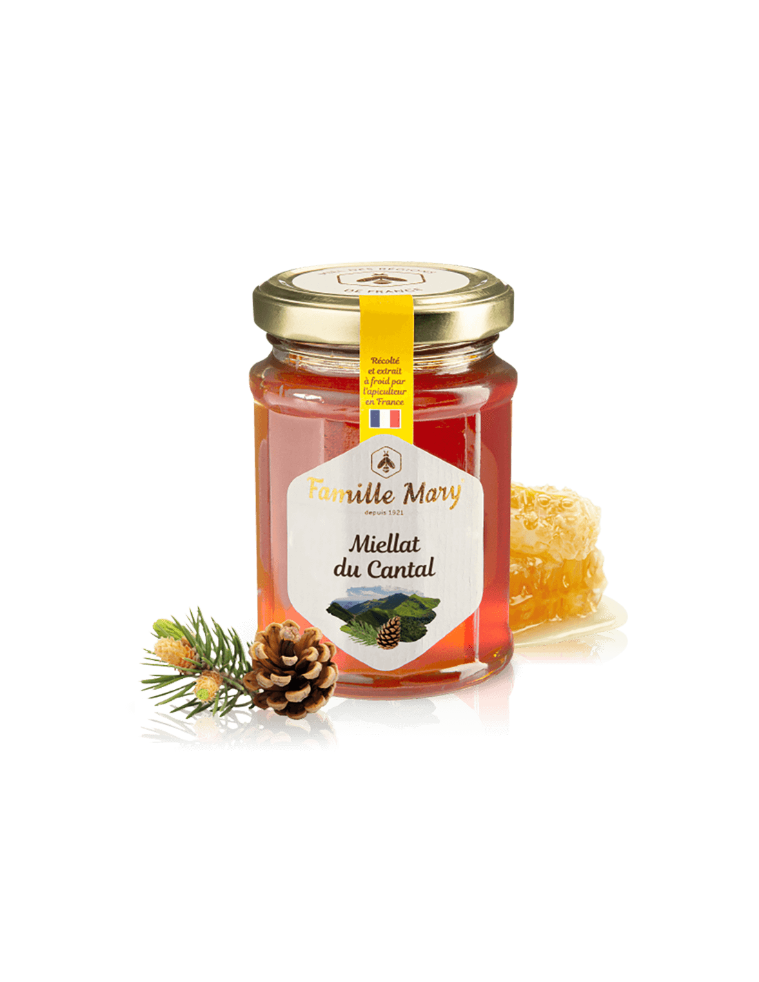 Miellat du Cantal/Miele d'api (melata) di aghi di pino, 230 g Famille Mary