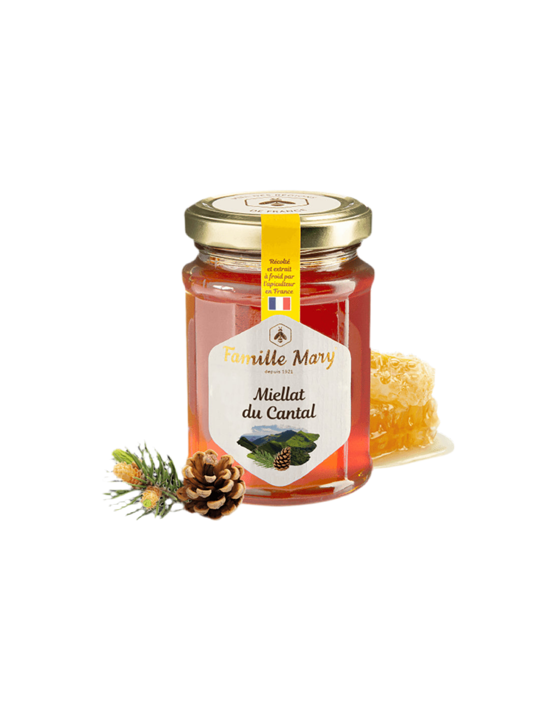 Miellat du Cantal/Miele d'api (melata) di aghi di pino, 230 g Famille Mary