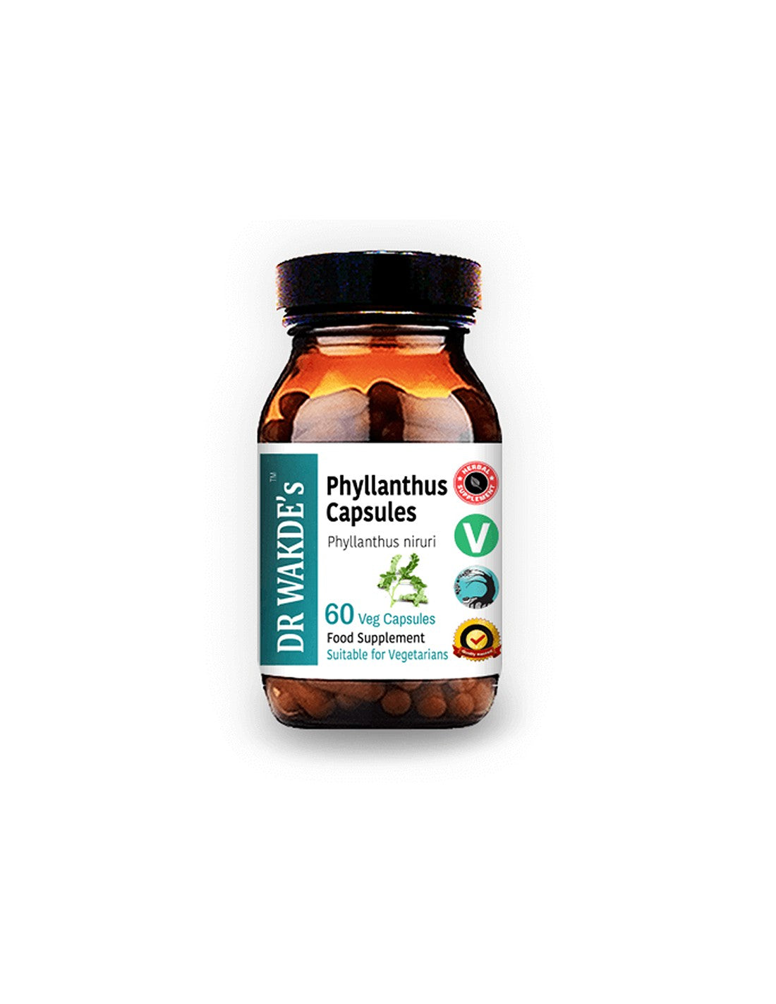 Phyllanthus - per malattie del fegato e della milza, gotta, 60 capsule