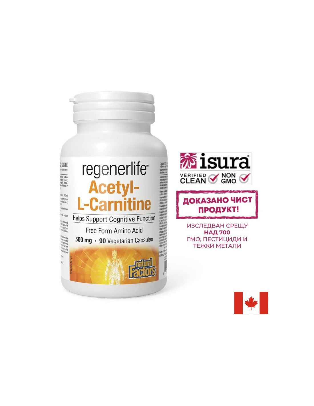 Acetil-L-Carnitina Regenerlife™ - Energia, concentrazione e supporto metabolico, 90 capsule