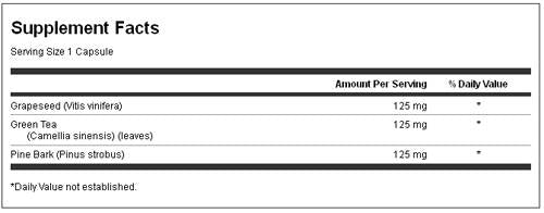 Mastic Gum 500 mg 60 Capsule