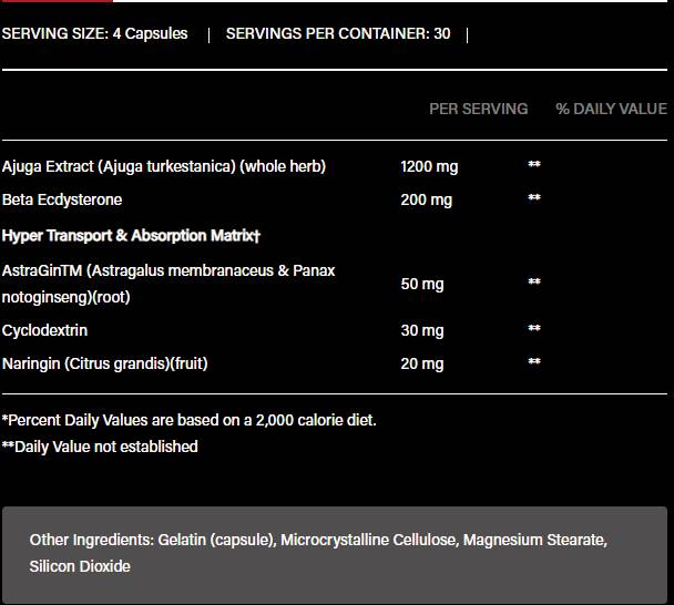 Turkesterone 1200 | con Beta-Ecdisterone & AstraGin - 120 capsule