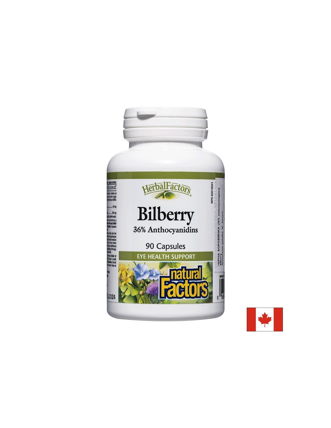 Bilberry 345 mg - 90 capsule