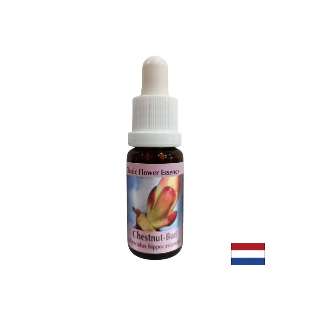 Rimuove i blocchi di energia - Essenza di boccioli di castagne n. 7, cade 15 ml