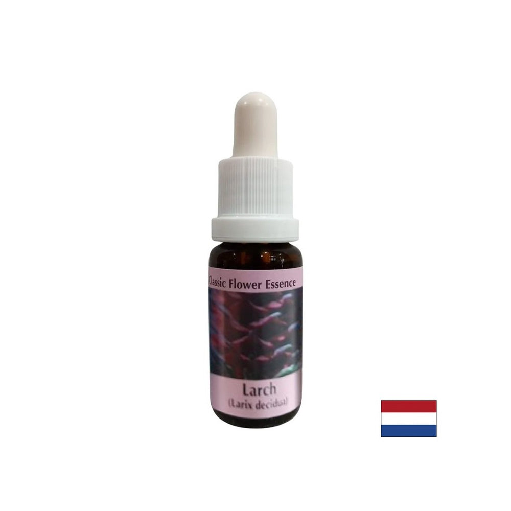 Increases self-esteem - Larch Essence No. 19, drops 15 ml - Nutra Best Europe