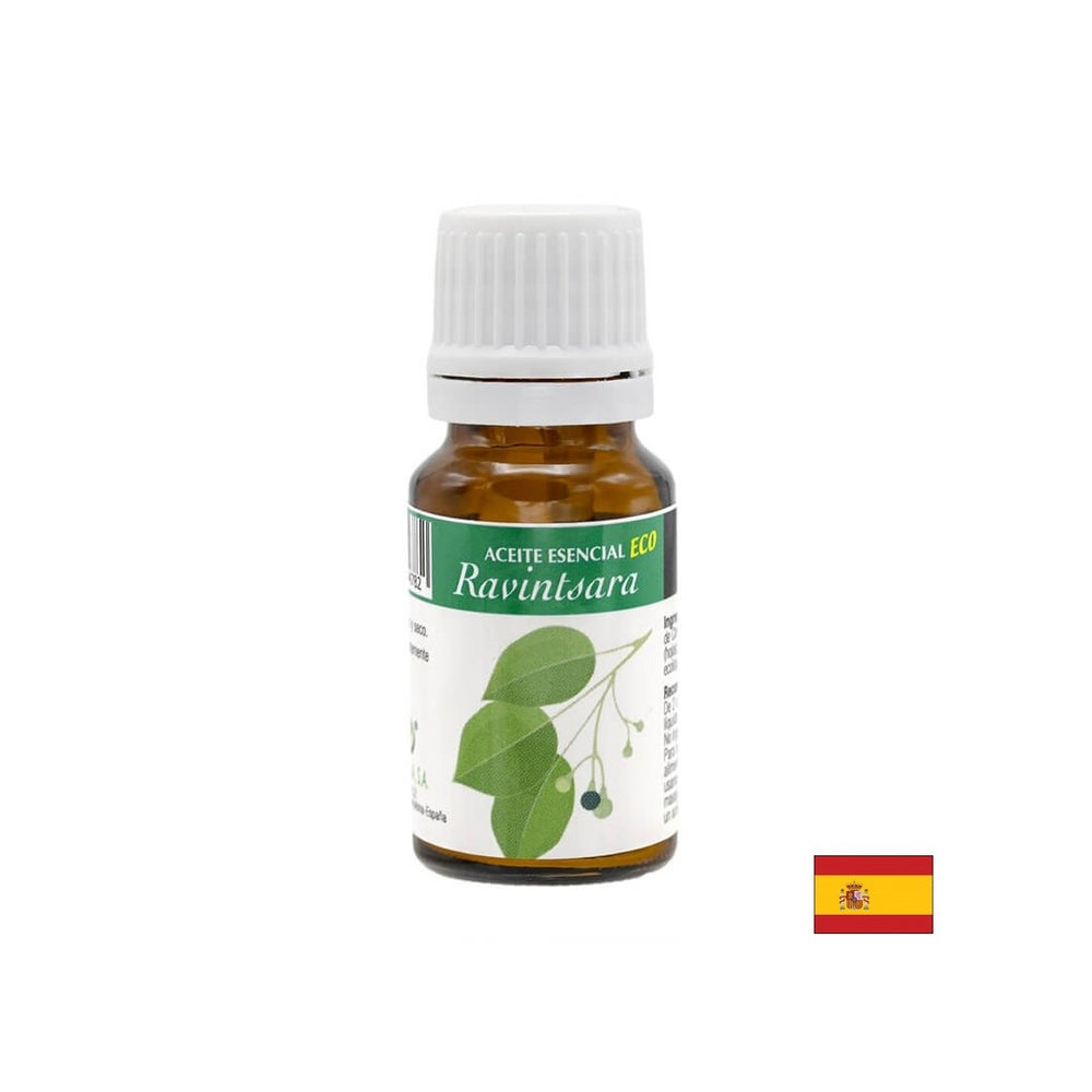 Olio essenziale per alberi di canfora, 10 ml