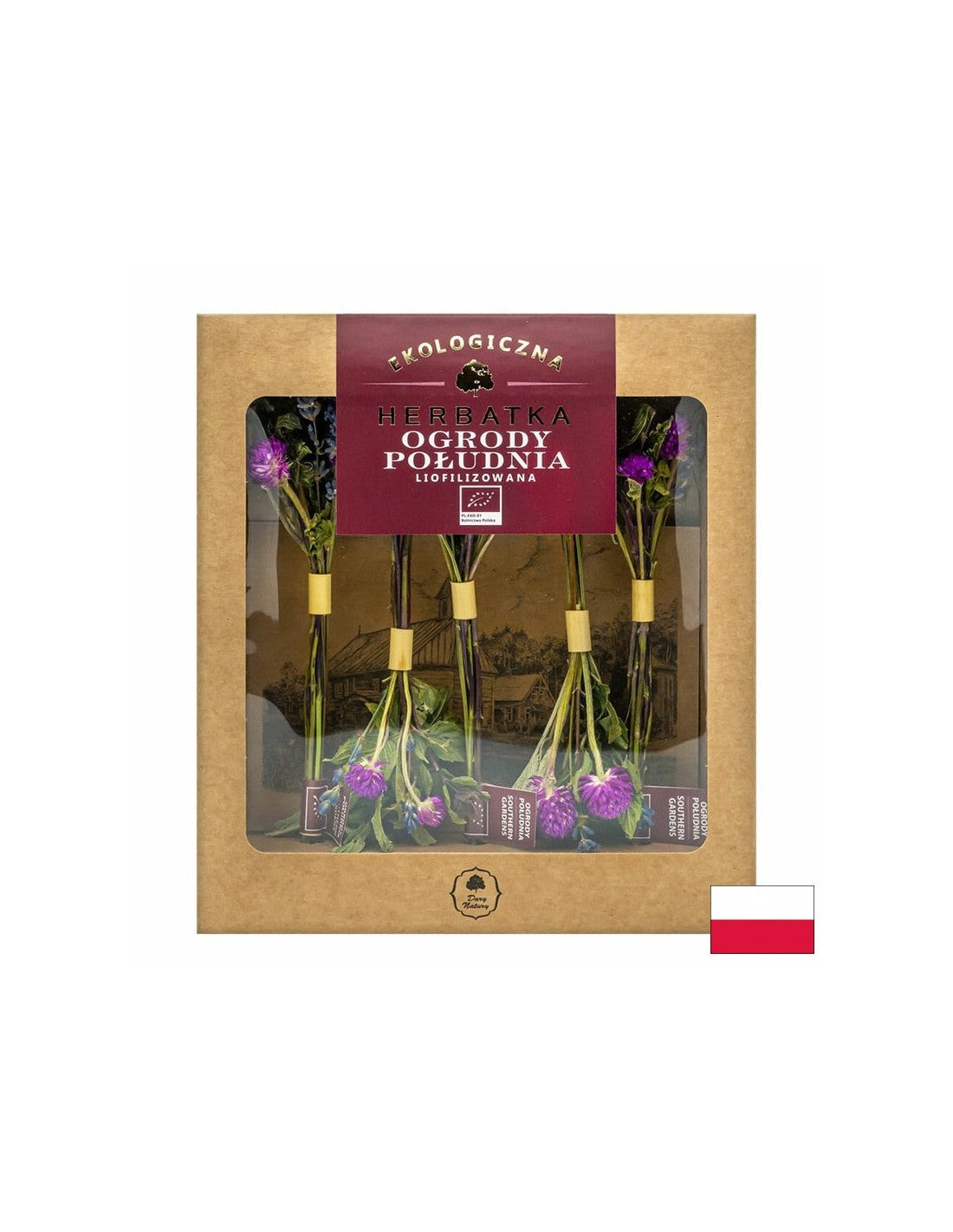 Tè liofilizzato South Garden Bio, 10 g <tc>Dary Natury</tc>