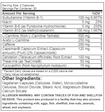 Shred Sport 60 Capsules