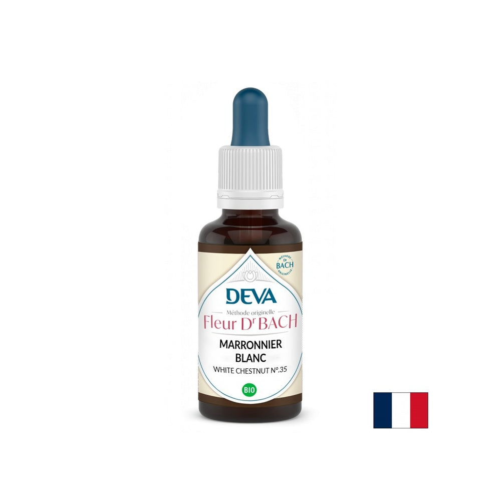 Memoria e concentrazione - Cavallo castagno, Bach Drops n. 35, 15 ml