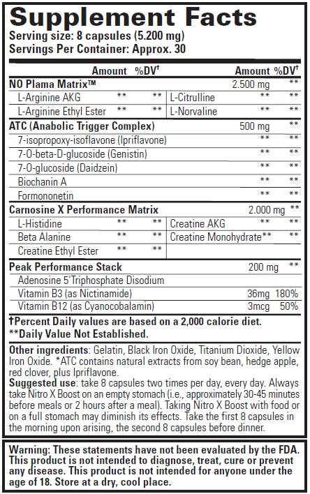 Nitro X Boost 240 Capsule
