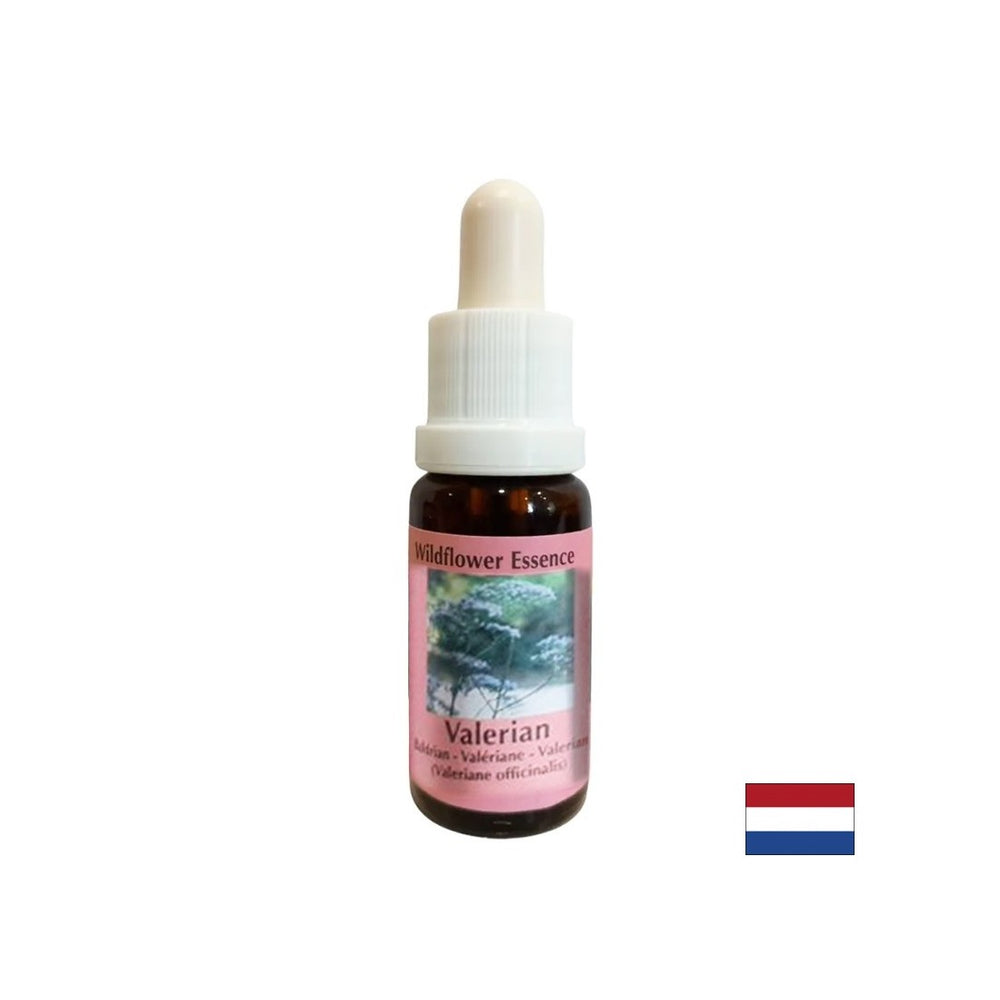 Calma il corpo e lo spirito, aiuta contro l'insonnia e lo stress - L'essenza di Valerian n. 21, scende 15 ml