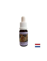Trasforma l'energia bloccata nel chakra della corona - Acineta Essence No. 1, gocce 15 ml