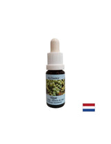 Stimola l'autoguarigione - Essenza di alghe n. 1, gocce 15 ml
