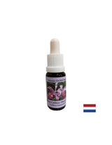 Comprende il ciclo dell'abbondanza e il desiderio di donare - Cattleya Essence N. 10, gocce 15 ml