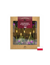 Tè liofilizzato South Garden Bio, 10 g <tc>Dary Natury</tc>
