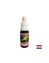 Stimola il cambiamento consapevole - Essenza Vischio Bianco n°12, gocce 15 ml