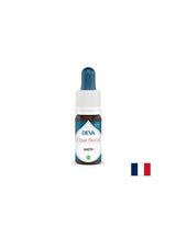 Per lucidità mentale ed equilibrio in condizioni di sovraccarico sensoriale - Finocchio, Gocce di Bach, 15 ml