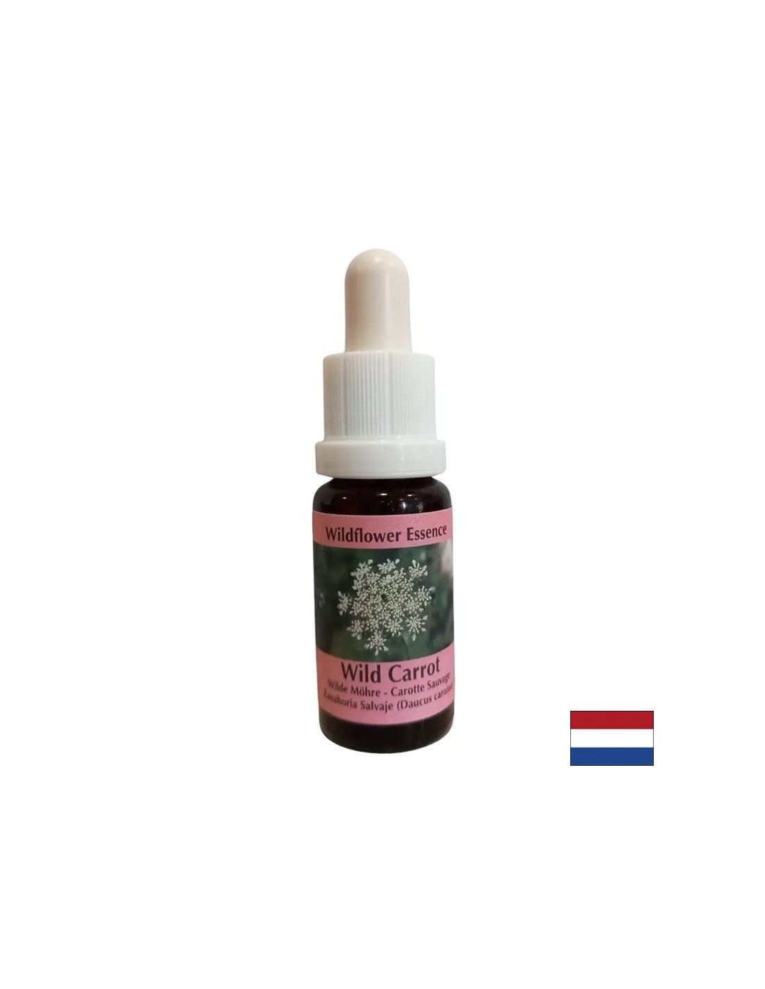 Calma la mente - Essenza di carota selvatica, gocce 15 ml