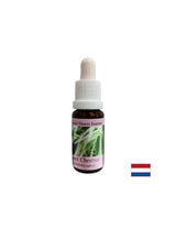 In tempi di disperazione e impasse - Sweet Chestnut Essence, gocce 15 ml