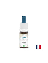 Per paura e incertezza - Larch, gocce di Bach n. 19, 15 ml