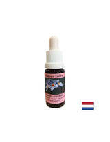 Rimuove energie negative e paure - Essenza Non ti scordar di me della foresta n° 19, gocce 15 ml