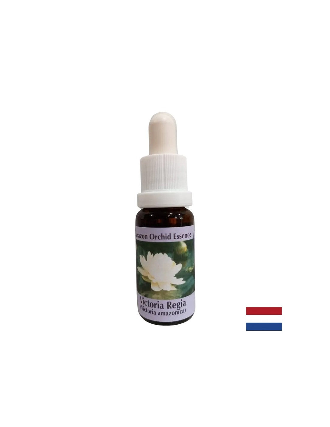 Per la consapevolezza spirituale - Victoria Regia Essence N. 20, gocce da 15 ml