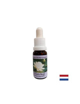 Per la consapevolezza spirituale - Victoria Regia Essence N. 20, gocce da 15 ml