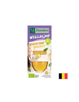 Tè immunitario con zenzero e lime BIO, 20 sacchetti filtro