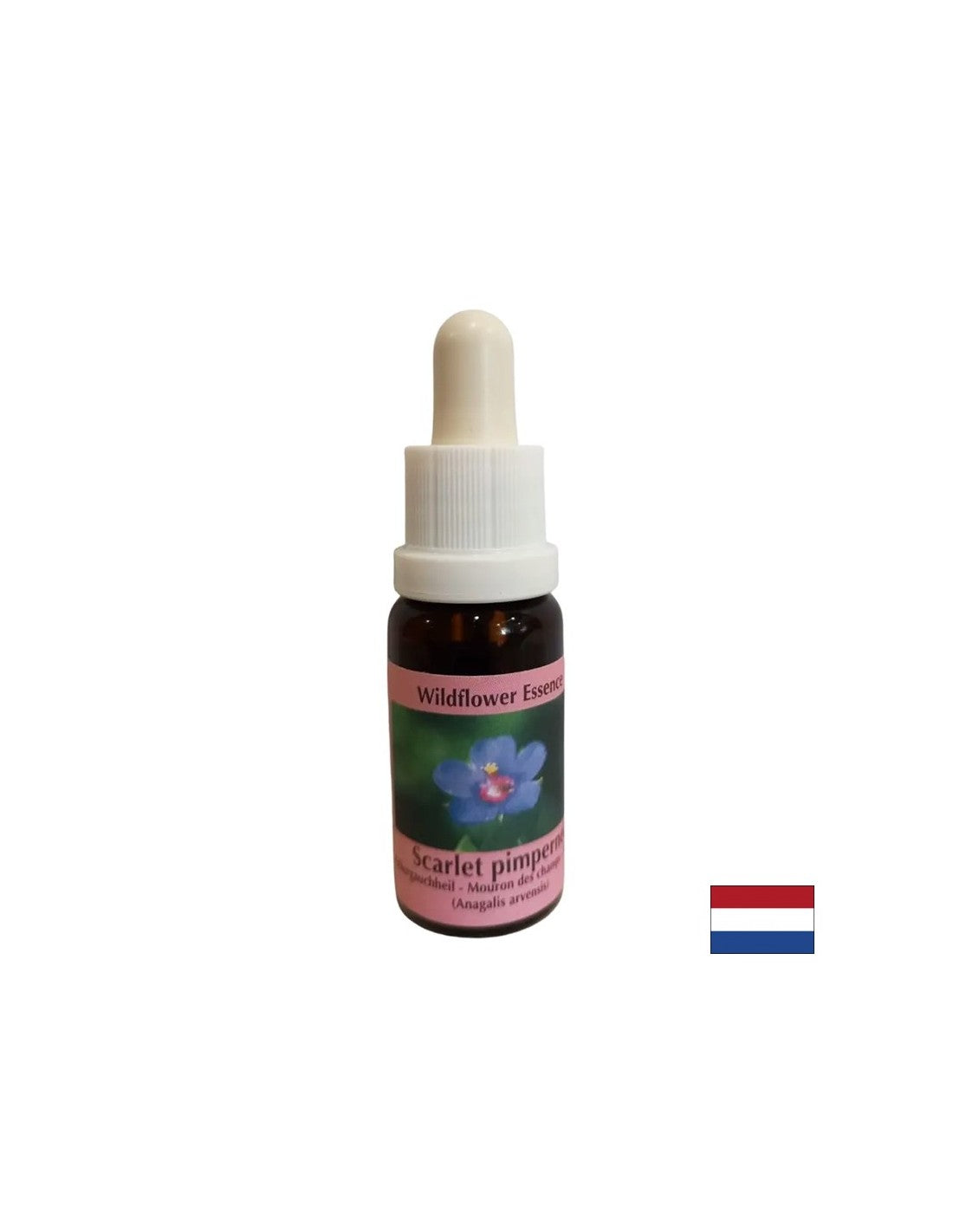 Per la scoperta di sé e l'integrazione - Essence Polish Fireweed N. 21, gocce 15 ml